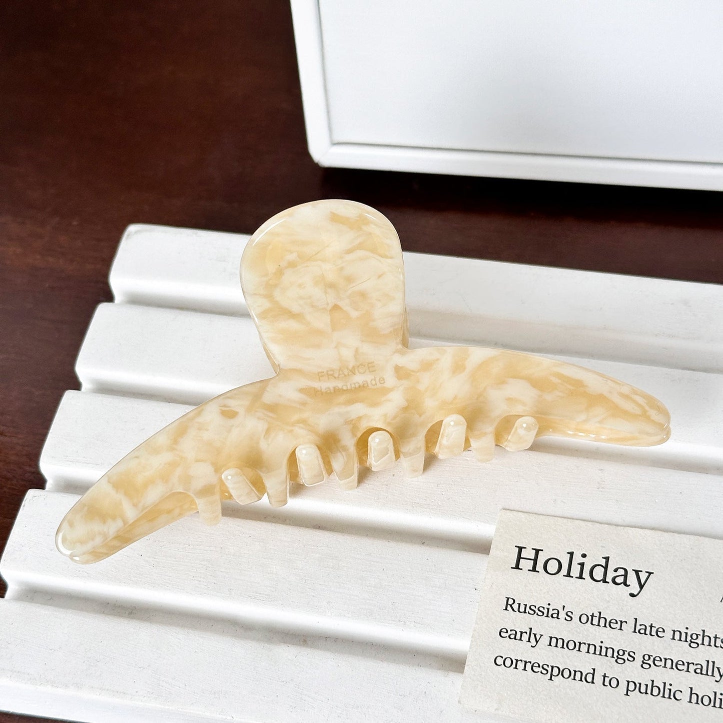 Minimalist Large Acetate Shark Hair Claw