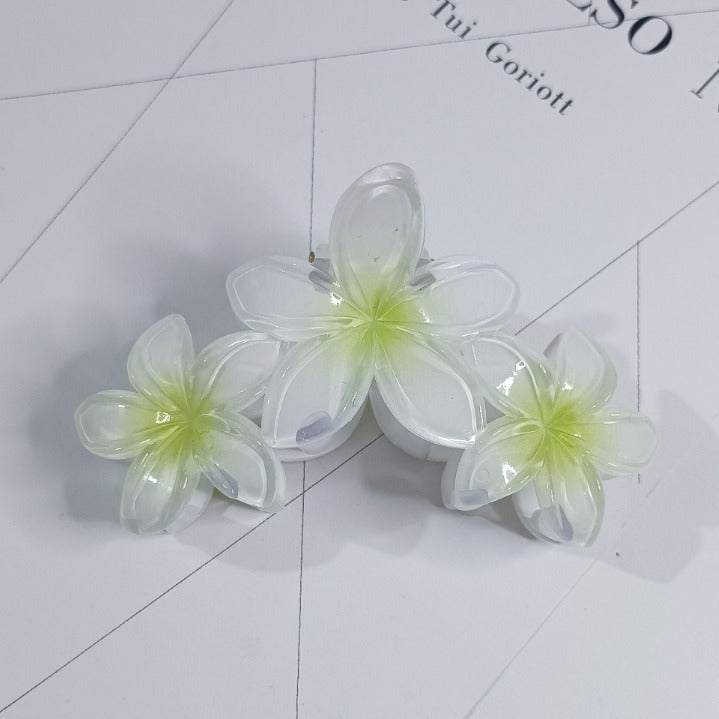 Pinza de agarre floral con degradado de playa para vacaciones