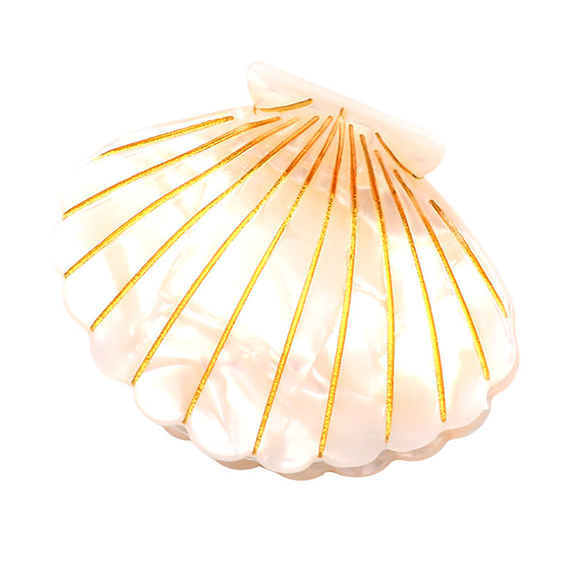 Simple Colorful Shell Acetate Claw Claw