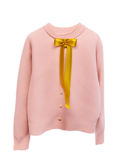 Minimalist Round Neck Long Sleeve Cropped Cardigan