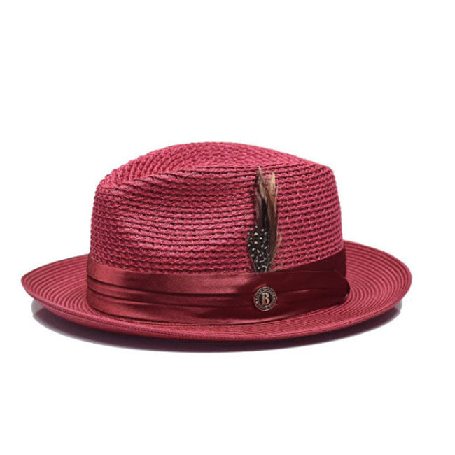 Sombrero de paja con plumas de color liso de moda