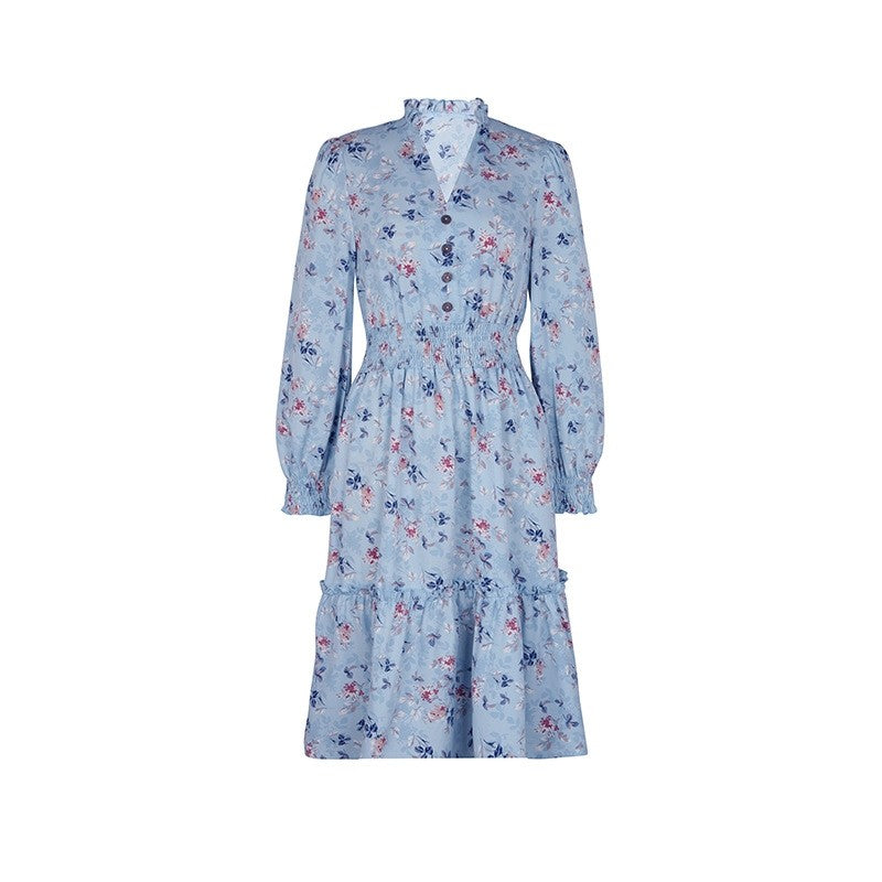 Long Sleeves V-Neck Floral Printed A-Line Dress