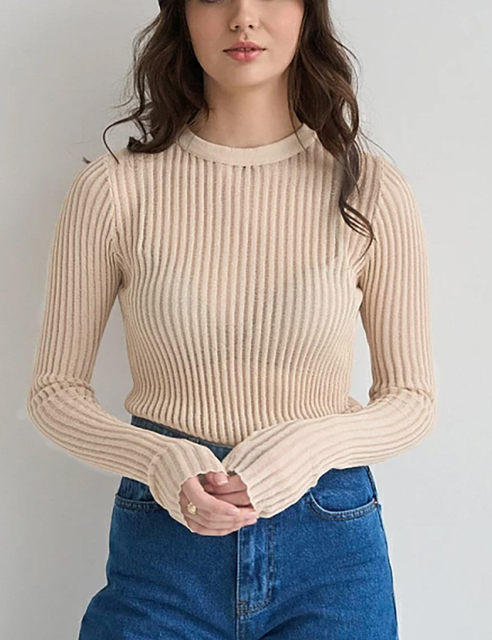 Round Neck See Through Knit Top