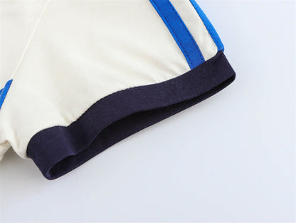 Round Neck Short Sleeve Striped Printed Top