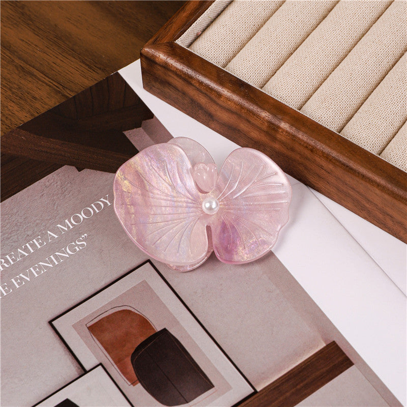 Colorful Moth Orchid Acetate Hair Clip