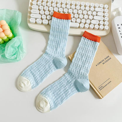 Color Block Thin Mesh Socks