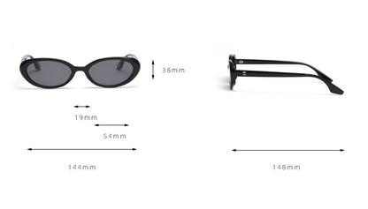 Vintage Small Frame Polarized Sunglasses