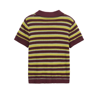 Color Block Striped Short Sleeve Knit Top