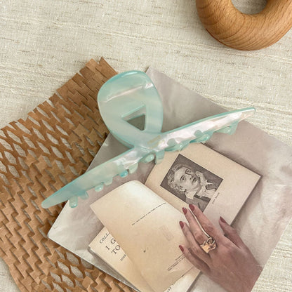 2+2+ Multicolor Large Elegant Hair Clips