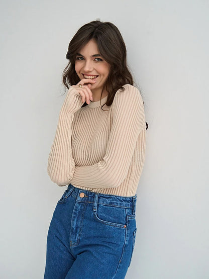Round Neck See Through Knit Top