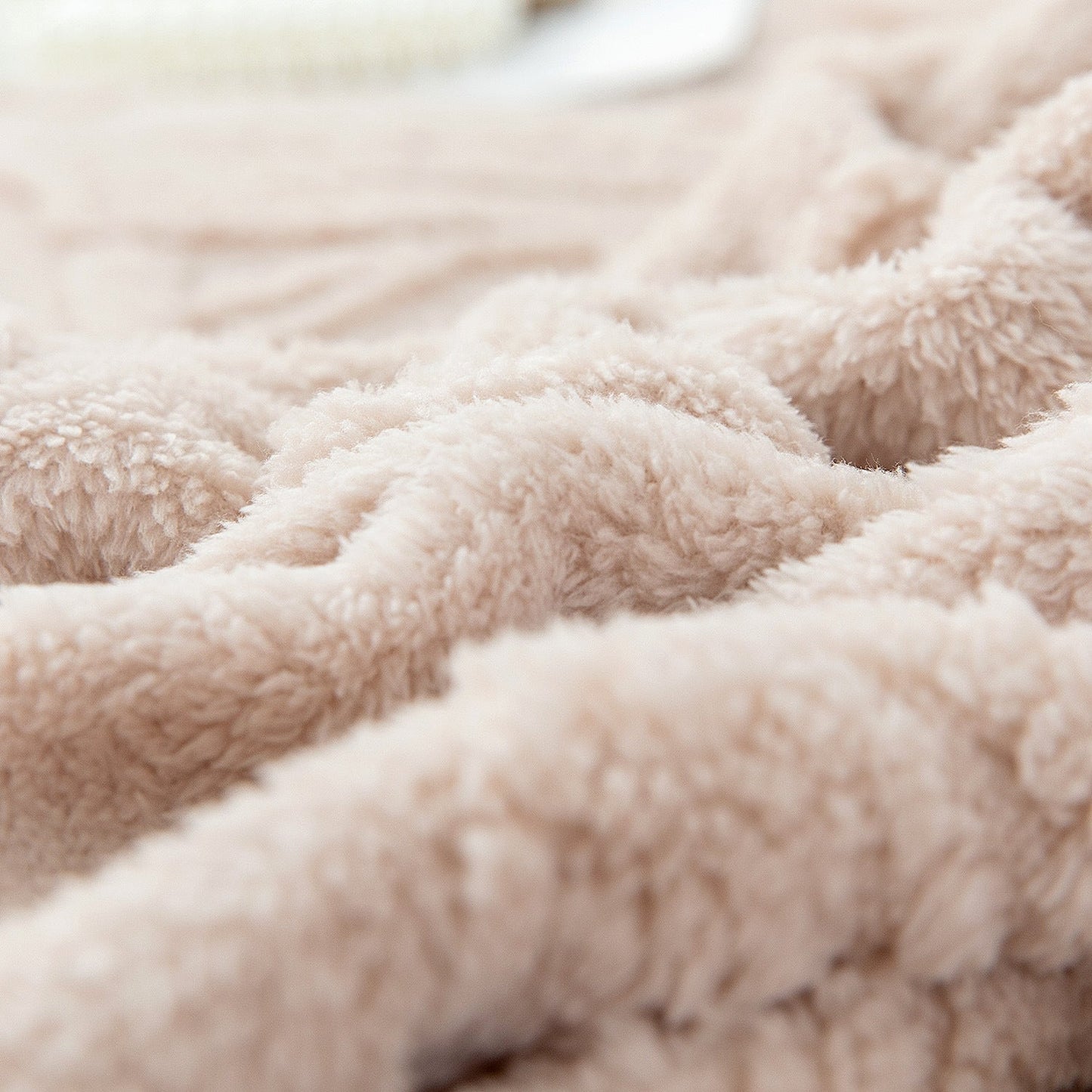 Solid Color Butterfly Jacquard Coral Fleece Blanket