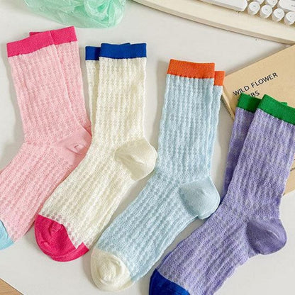 Color Block Thin Mesh Socks