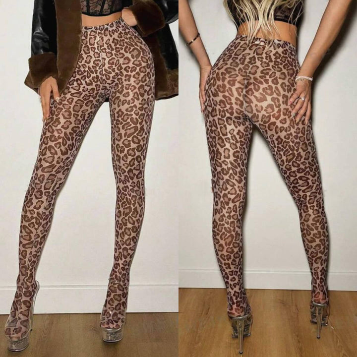 Pant Fashion