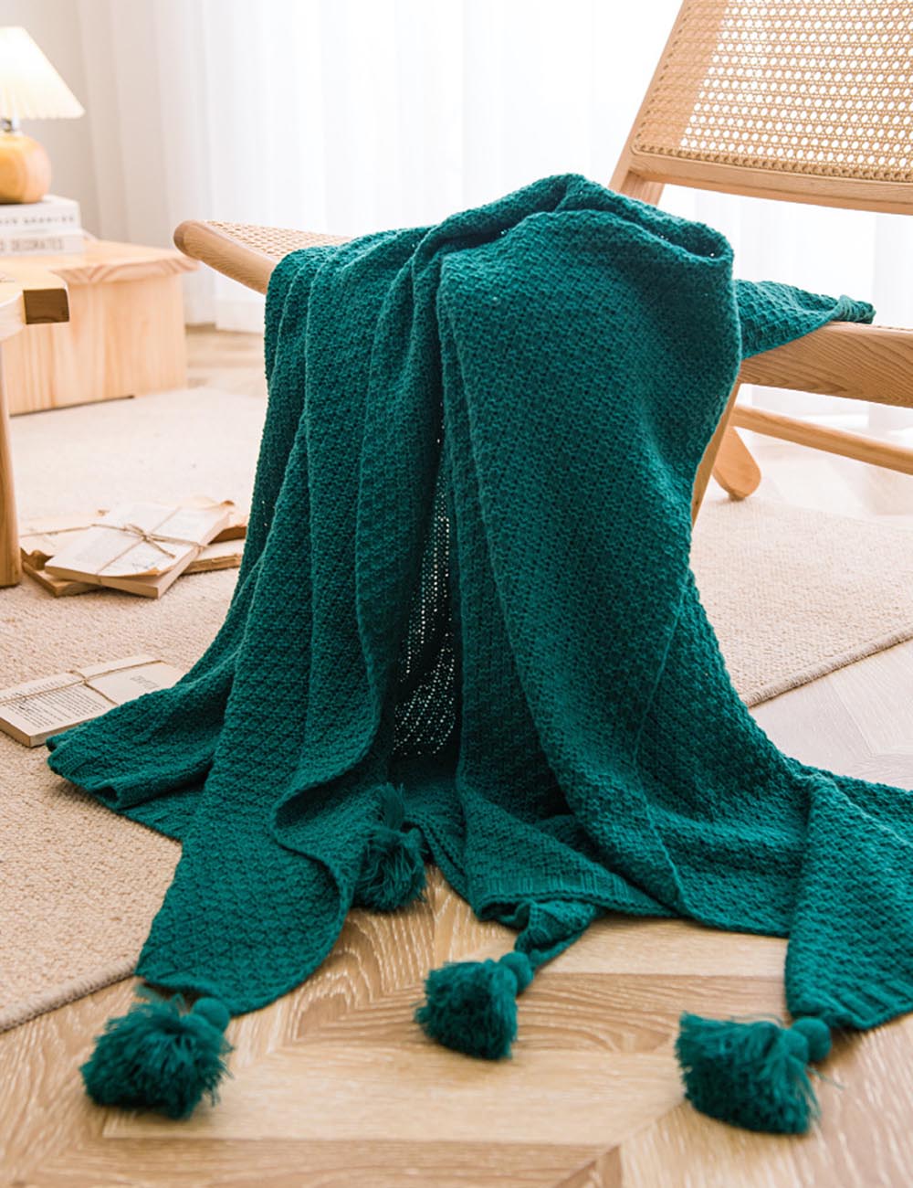 Simple Soft Cozy Tassel Blanket
